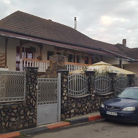 Casa Leo Lägenhet Haţeg Exteriör bild