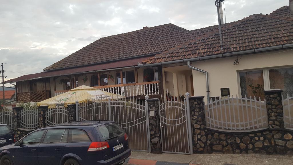 Casa Leo Lägenhet Haţeg Exteriör bild