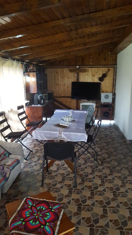 Casa Leo Lägenhet Haţeg Exteriör bild