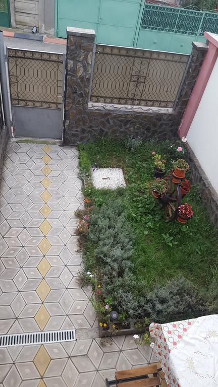 Casa Leo Lägenhet Haţeg Exteriör bild