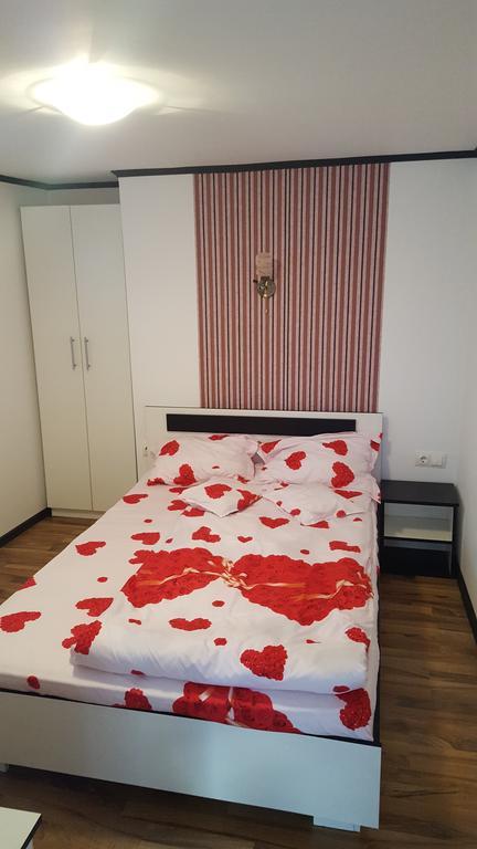 Casa Leo Lägenhet Haţeg Exteriör bild